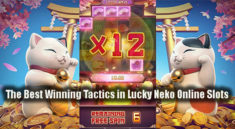The Best Winning Tactics in Lucky Neko Online Slots